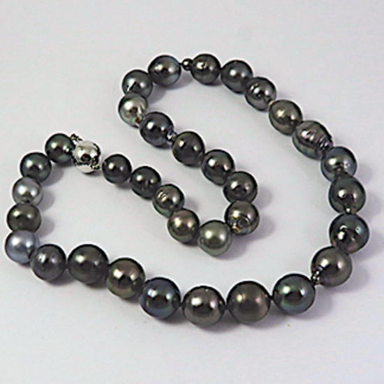 A NECKLACE of Semi-Baroque Tahitian Pearls on Silver Clasp.